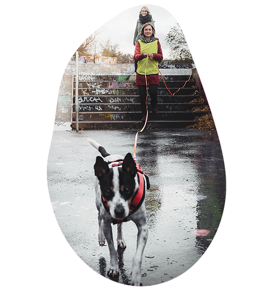 Frau mit Hund beim Mantrailing