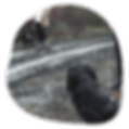 Begegnungstraining.png